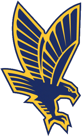 Marquette Golden Eagles 1994-2004 Secondary Logo diy fabric transfer